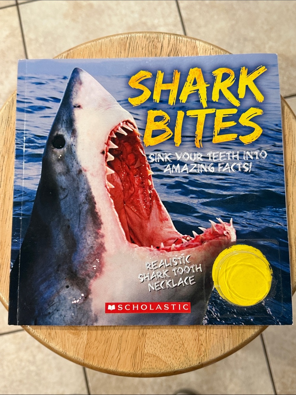 Scholastic Shark Bites Book - Blue & Yellow Cover